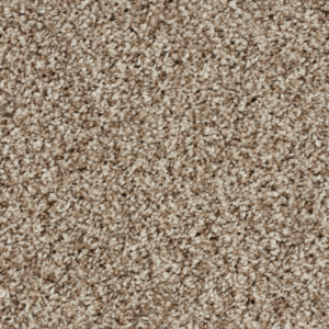 Beige Coral Carpet