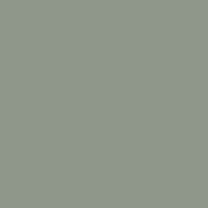 Celadon Green Premium Velvet